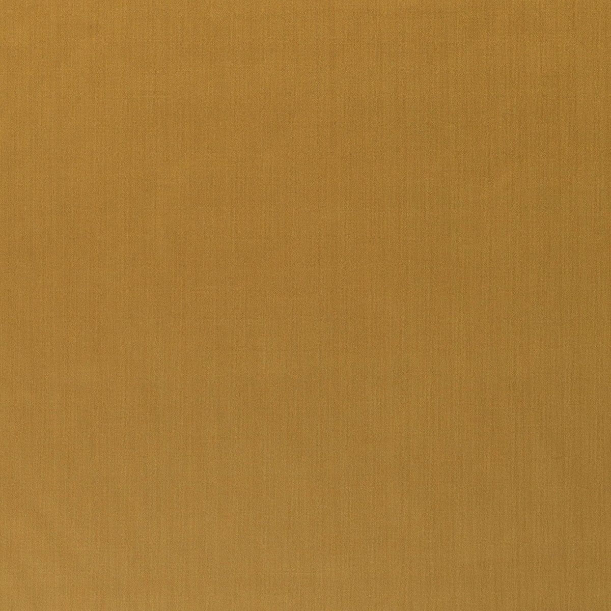 Splendor-Ginger