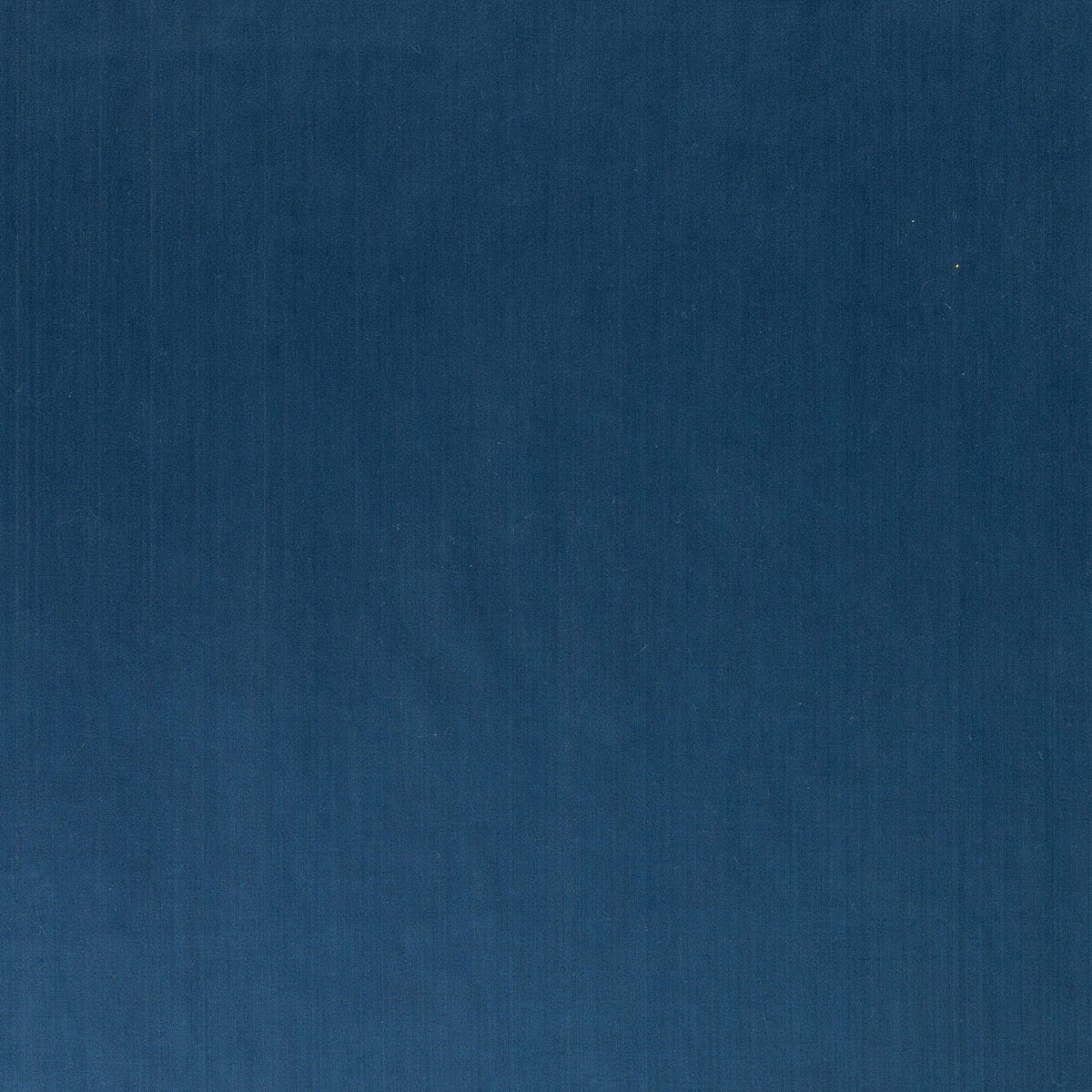 Splendor-Ocean