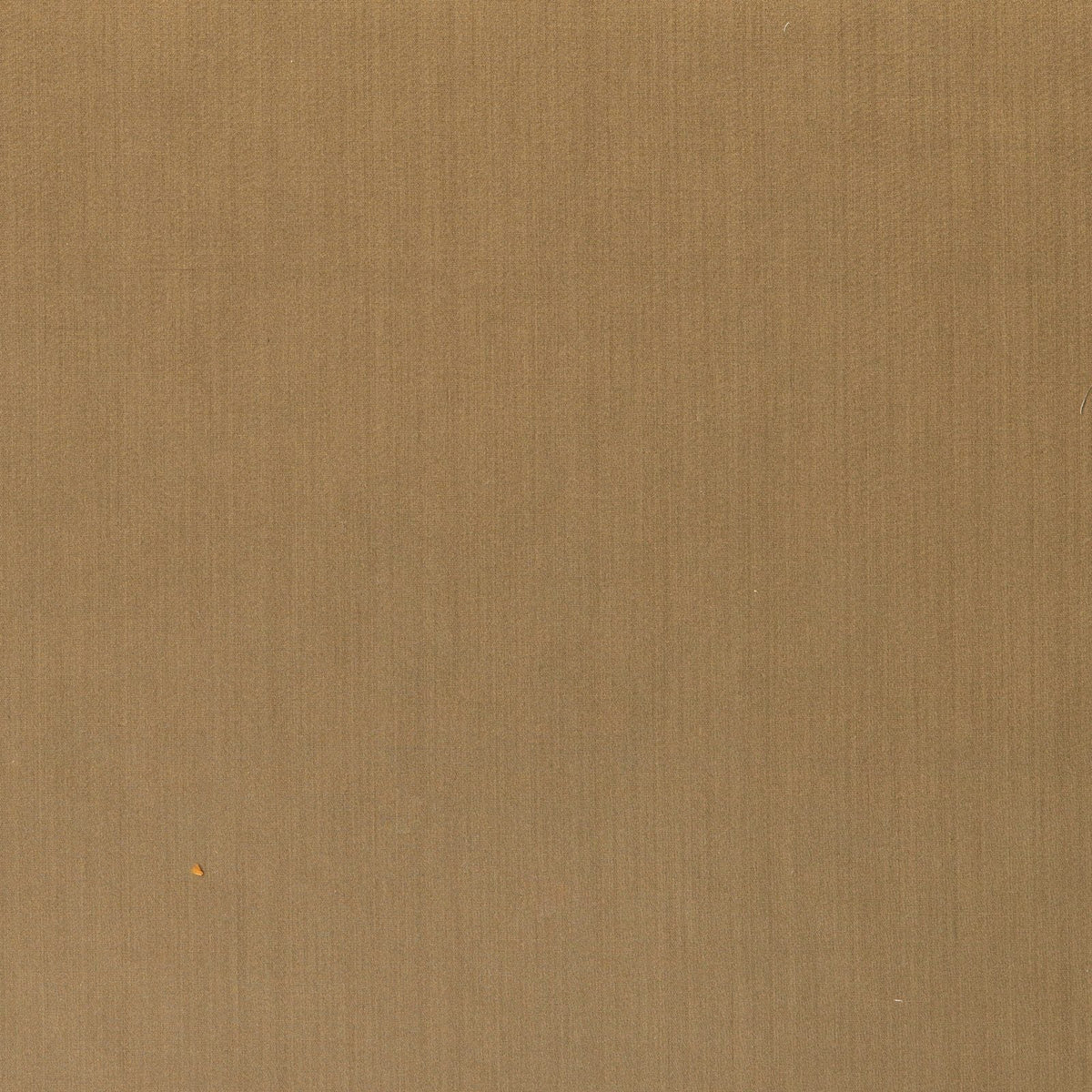 Splendor-Pino