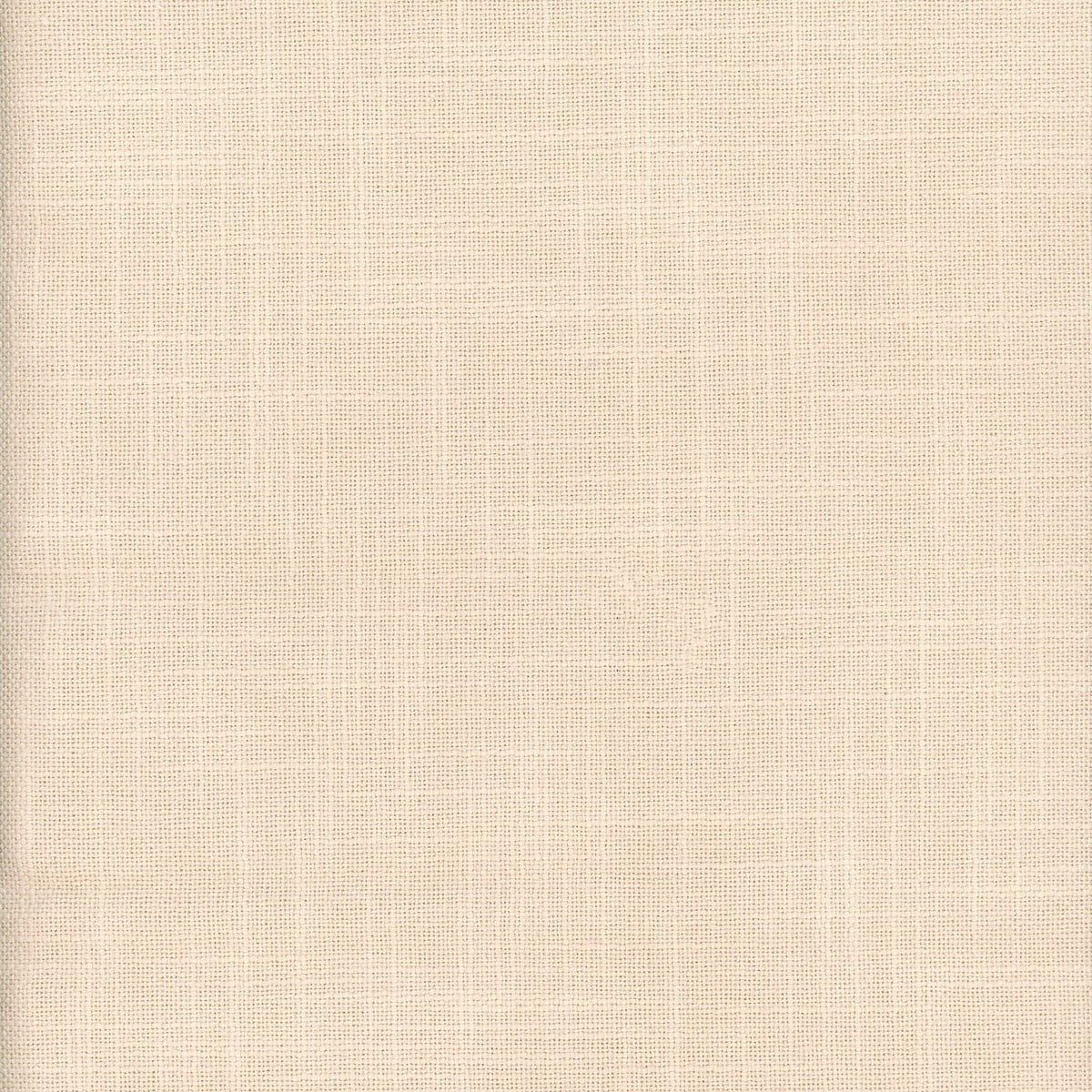 Palmer-Chamois