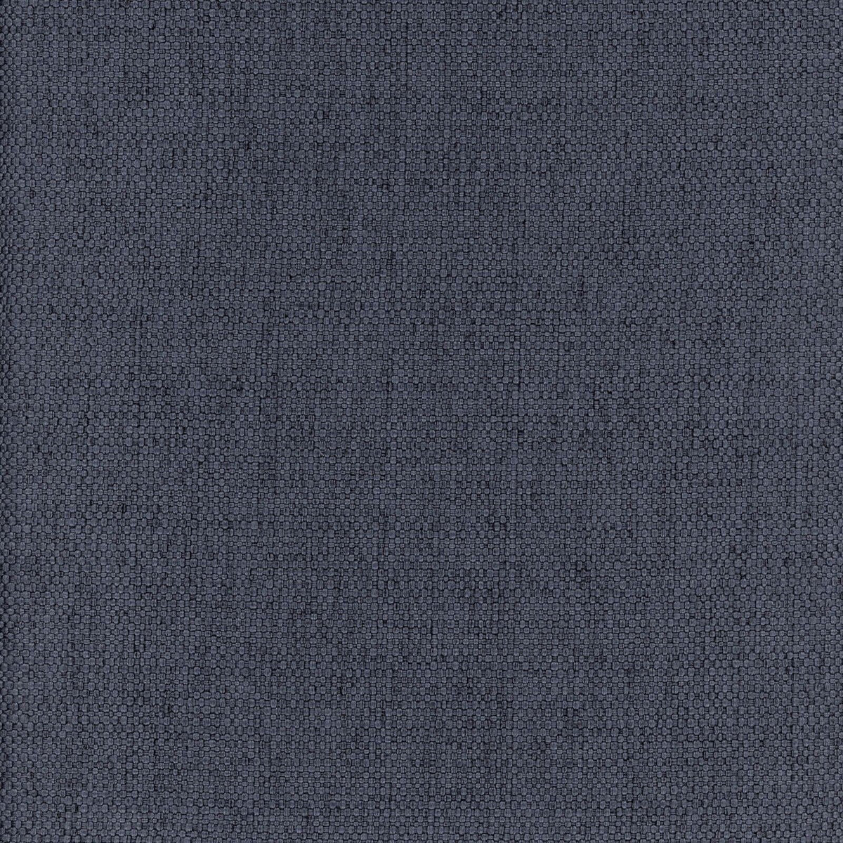 Newton-Cadet