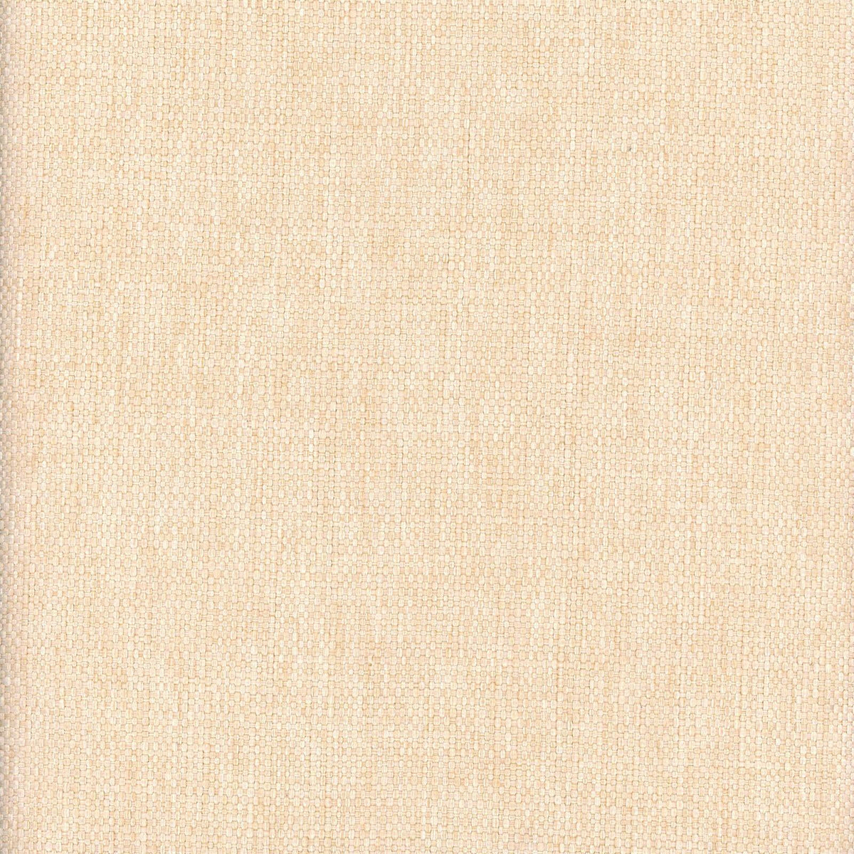 Newton-Chamois