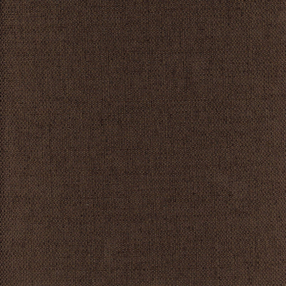 Newton-Chocolate