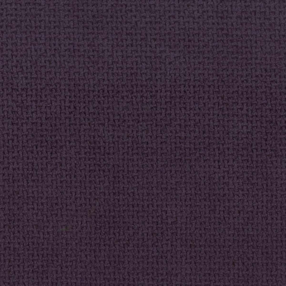 GRAYSON 22 GRAPE