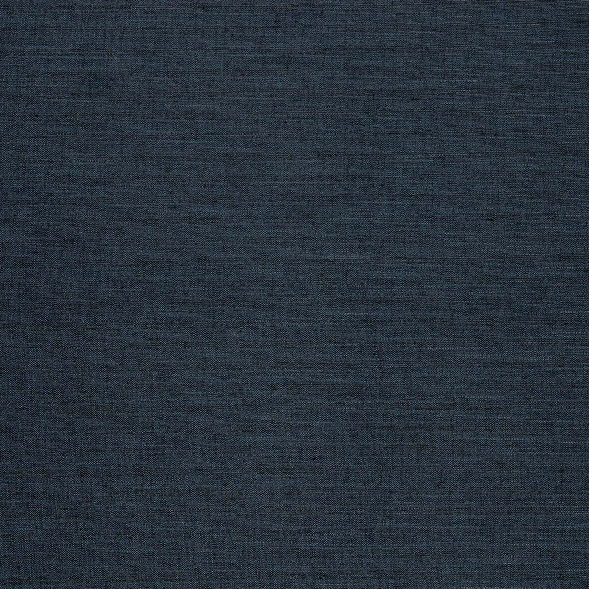 Director-Electric Blue