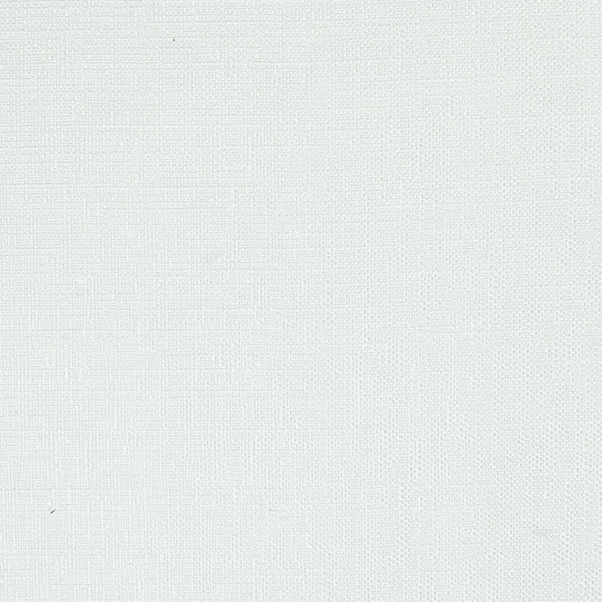 Director-Off White
