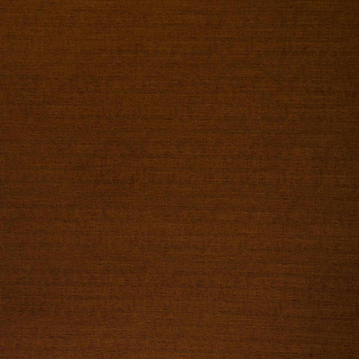 Director-Spice
