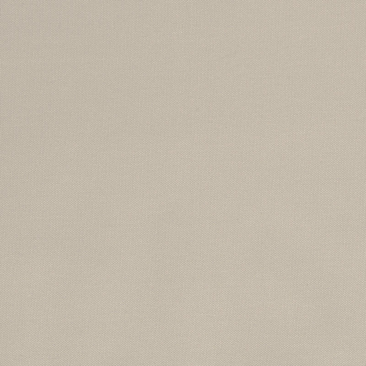 Quack Quack-White