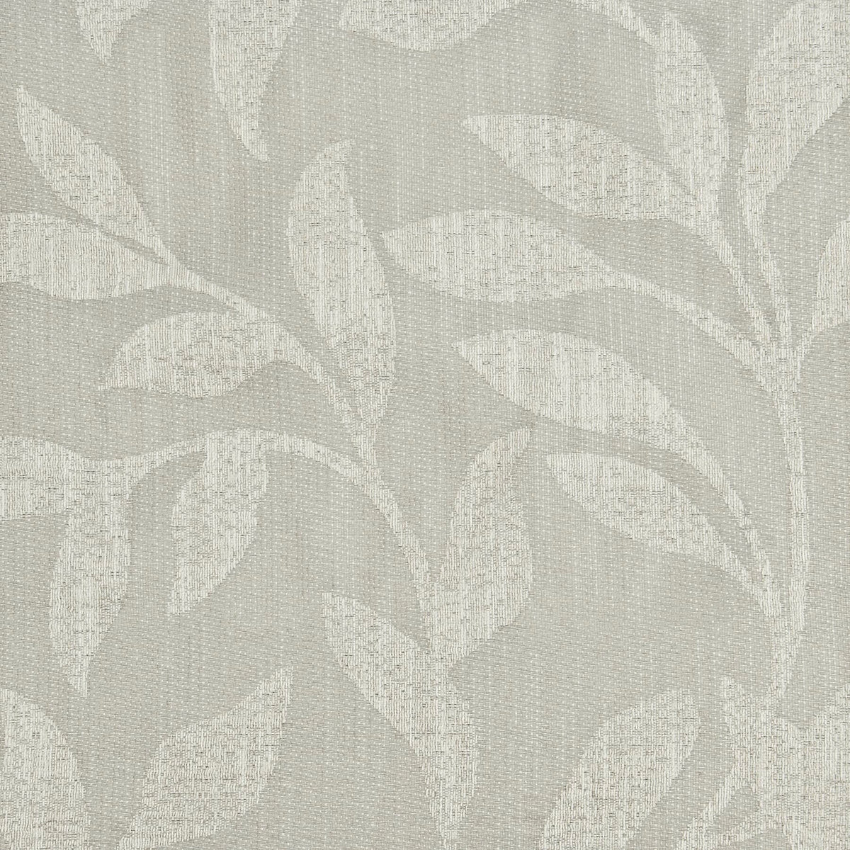 RICHMOND 1 RAFFIA