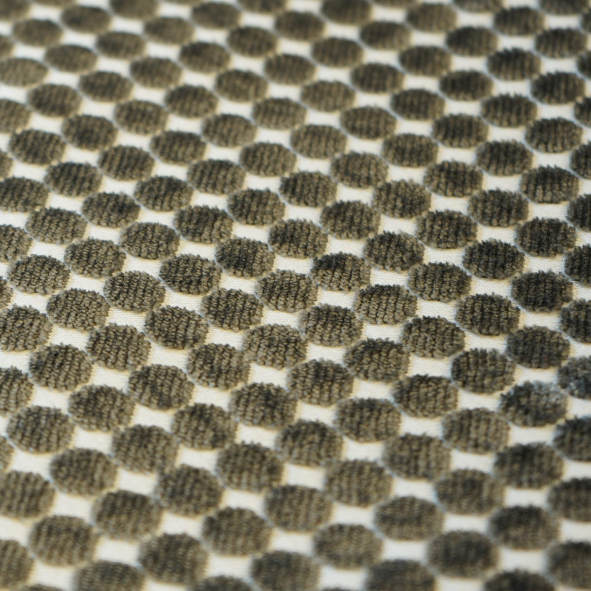 SPOTS Charcoal