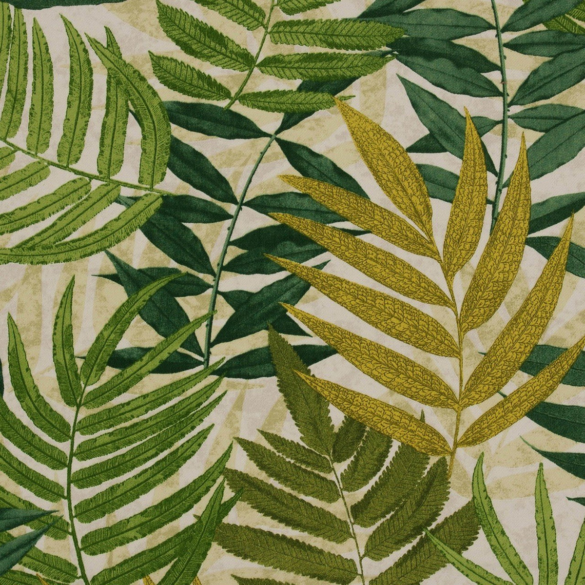 Thorntown-Palm