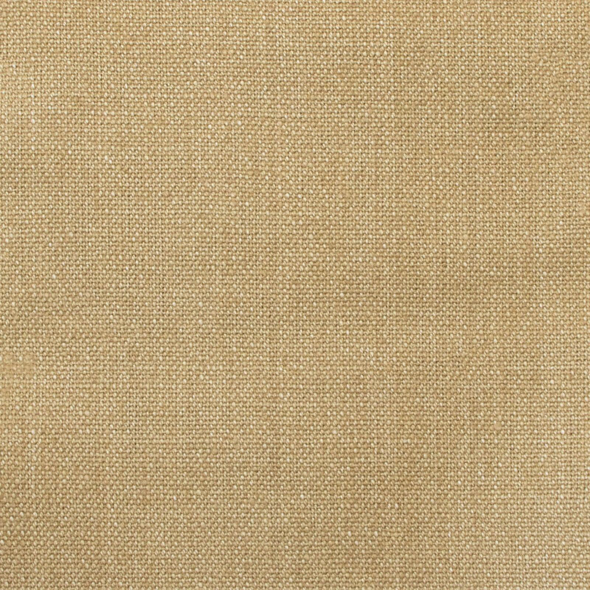 A7803 Camel - Atlanta Fabrics