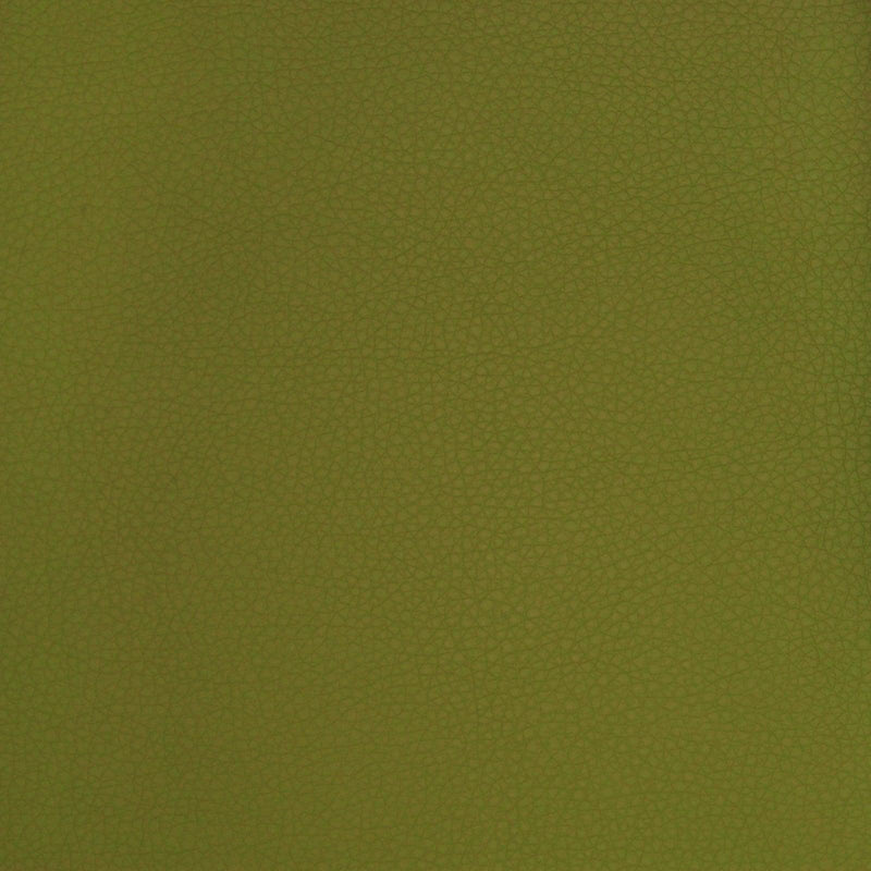 A9223 Sprig - Atlanta Fabrics