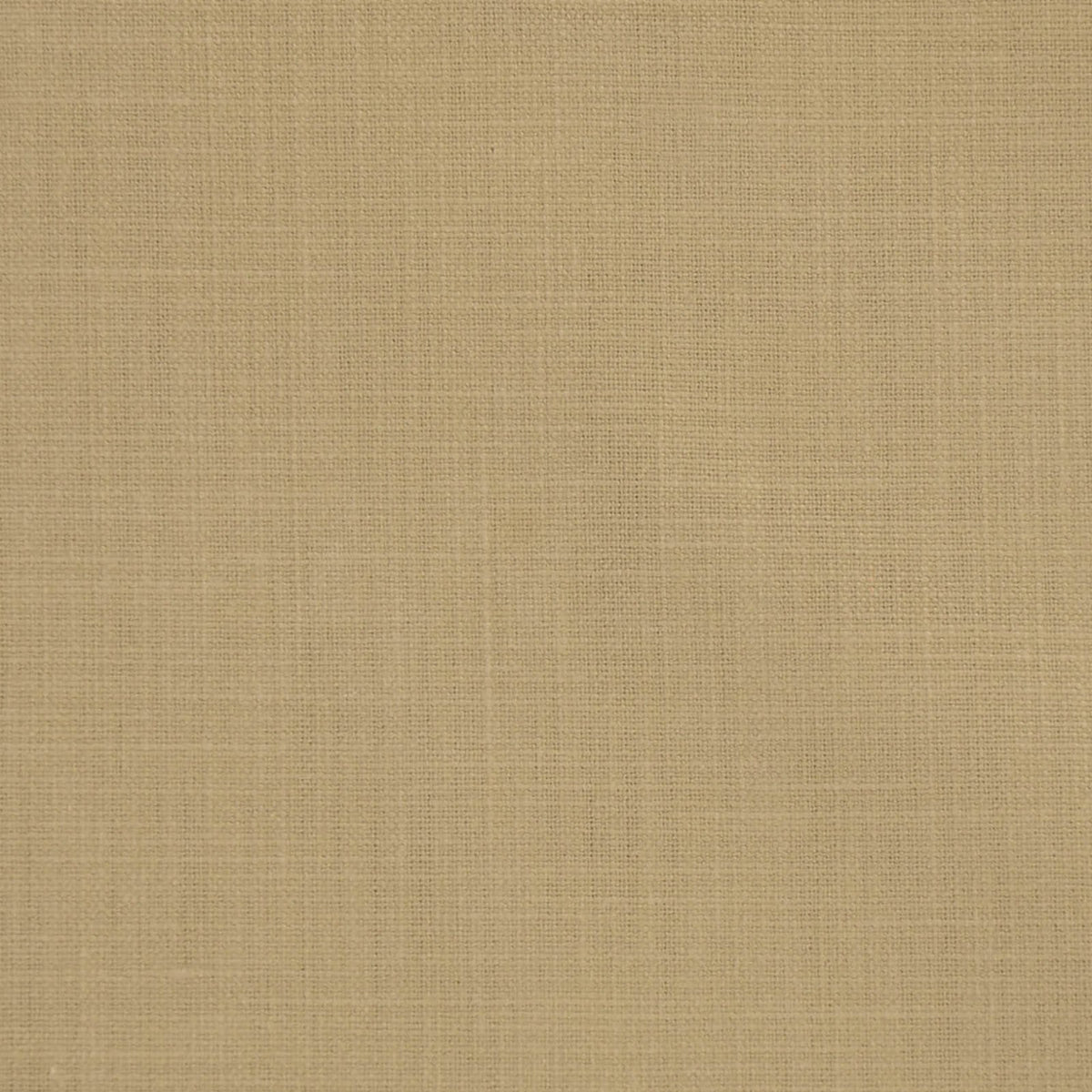 Tamin-Wheat