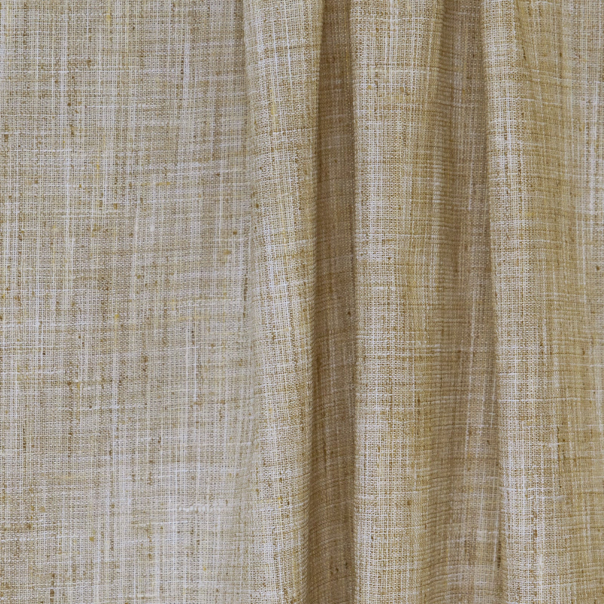 Curio-Birch
