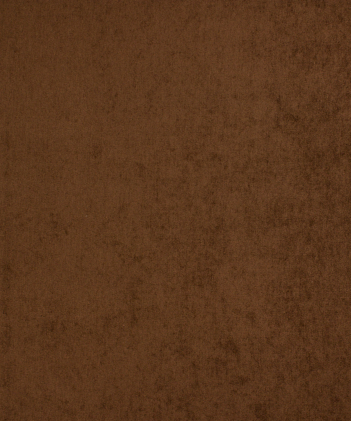 PAMLICO CHESTNUT