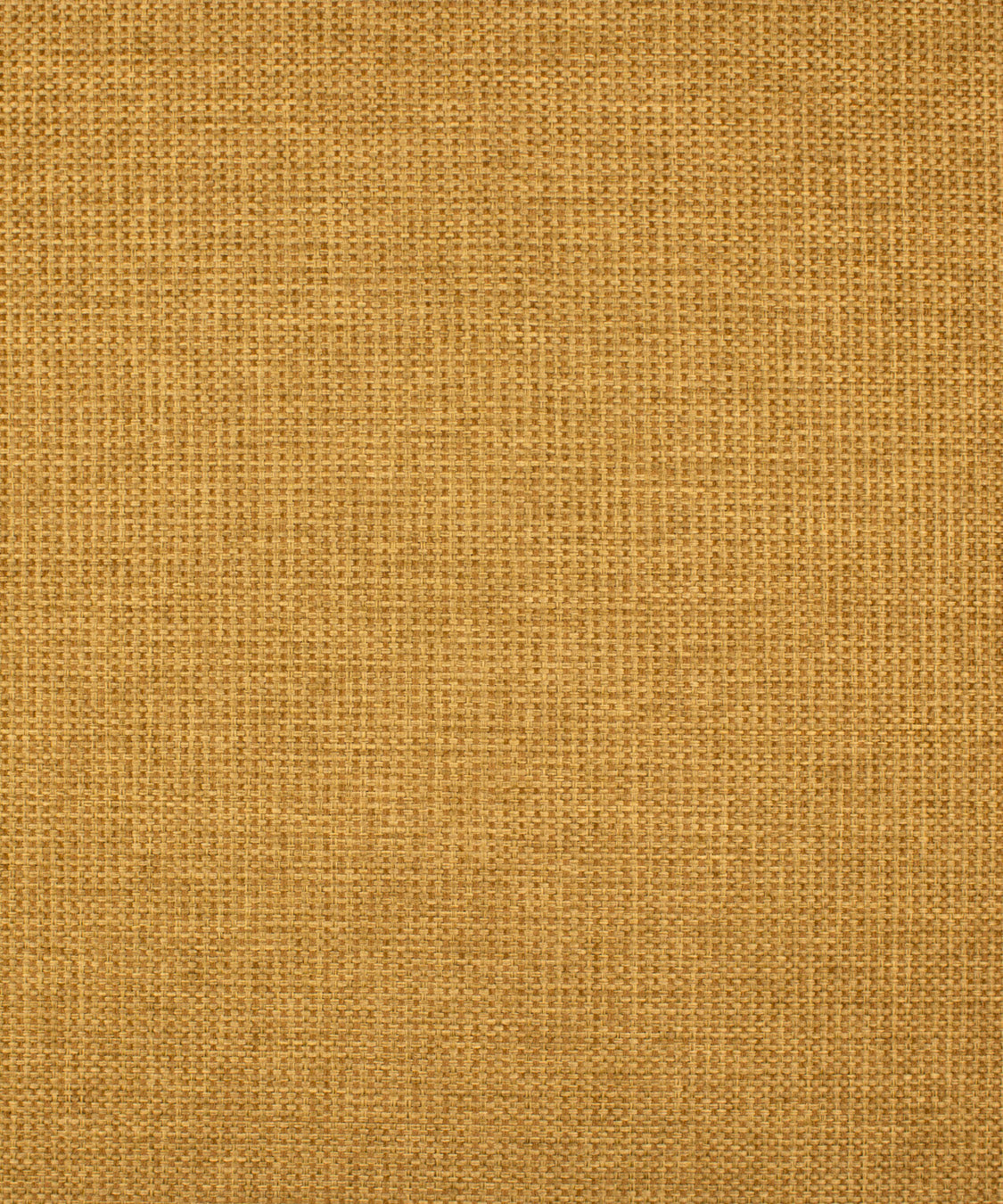 CLARKS BAY GOLDEN
