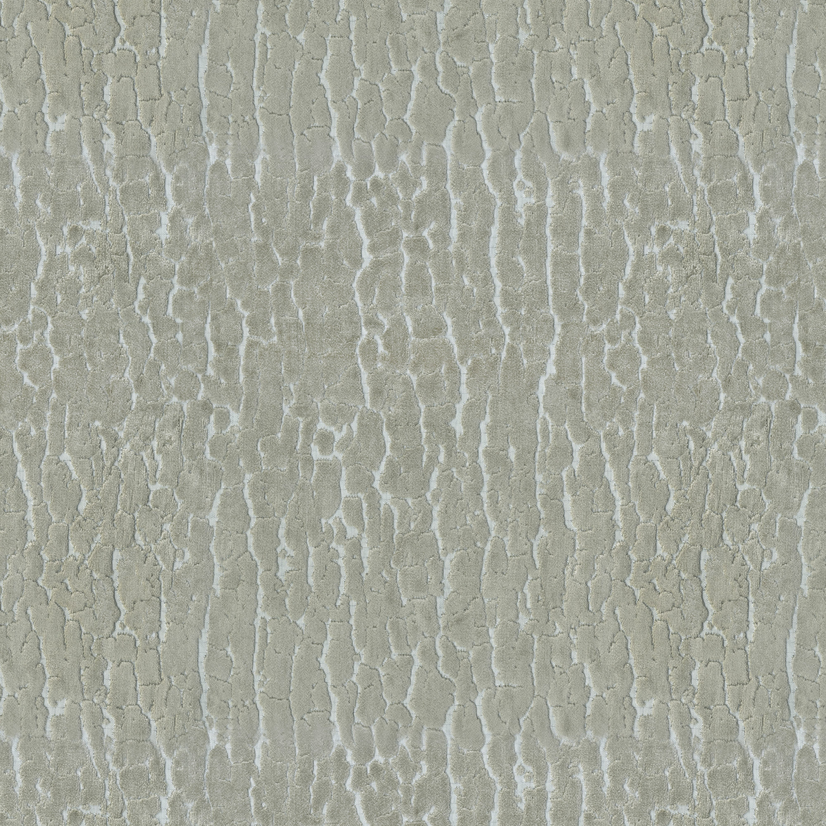 TERRAIN - Taupe